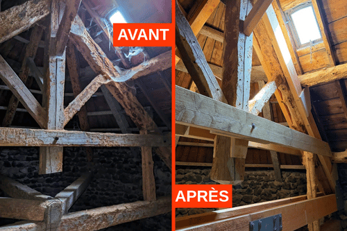 Traitement charpente